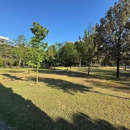 Apartment Pinewood